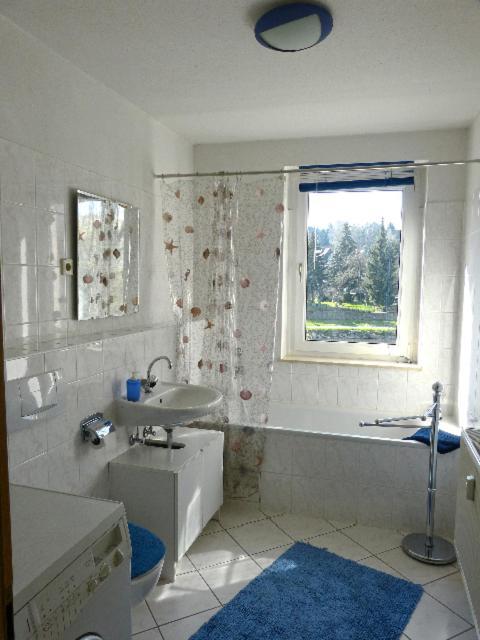 Ferienwohnung Lehmann Lunzenau 外观 照片